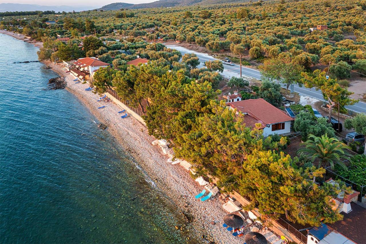 Pine Beach House Skála Kallirákhis Exterior foto